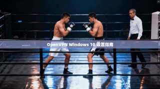 OpenVPN Windows 10 设置指南