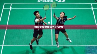 如何安全地使用外汇VPN