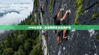 VPN白名单，企业网络安全的守护者