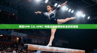 两层VPN（2L VPN）构建企业级网络安全的双保险