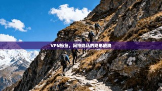 VPN鲸鱼，网络隐私的隐形威胁