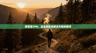 易营宝VPN，企业级安全解决方案的典范