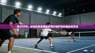 粒子VPN，如何在复杂网络环境中保护你的隐私和安全