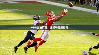 VPN合法厂商，选择与使用指南