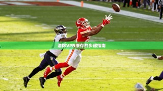 清除VPN缓存的步骤指南