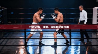 代站VPN，理解、选择和使用指南
