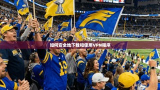 如何安全地下载和使用VPN程序