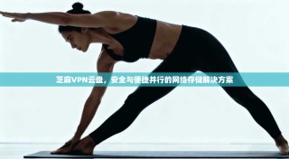 芝麻VPN云盘，安全与便捷并行的网络存储解决方案