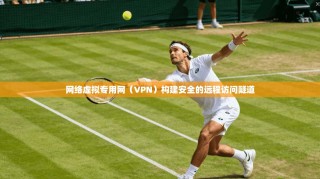 网络虚拟专用网（VPN）构建安全的远程访问隧道