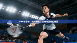 VPN分享器，如何安全、合法地使用和配置