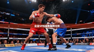 企业VPN应用案例分析