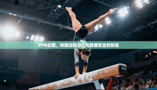 VPN云图，构建远程办公与数据安全的桥梁