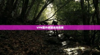 VPN国外线路选择指南