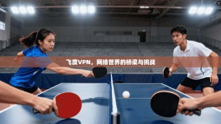 飞度VPN，网络世界的桥梁与挑战