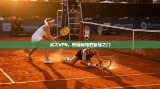 武大VPN，校园网络的智慧之门