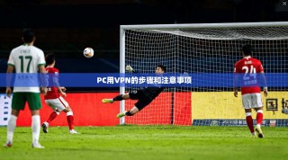 PC用VPN的步骤和注意事项