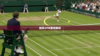 微风VPN费用解析