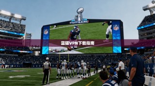 蓝猫VPN下载指南