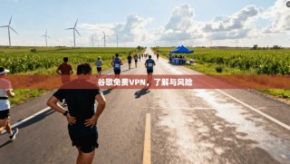 谷歌免费VPN，了解与风险