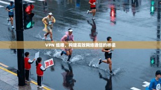 VPN 组播，构建高效网络通信的桥梁