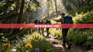 如何安全使用PS VPN
