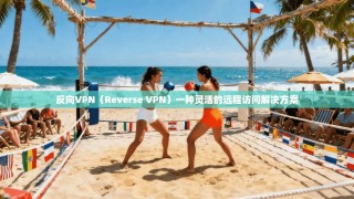 反向VPN（Reverse VPN）一种灵活的远程访问解决方案