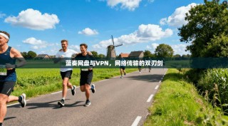 蓝奏网盘与VPN，网络传输的双刃剑