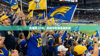 龙卷风 VPN，风暴中的安全避风港