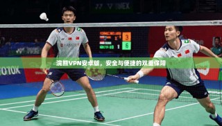 浣熊VPN安卓版，安全与便捷的双重保障