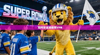 如何安全地使用VPN