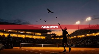 石器起源VPN