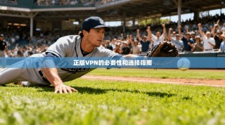 正版VPN的必要性和选择指南