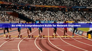 Go VPN:A Comprehensive Guide for Network Engineers