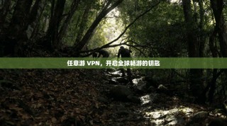 任意游 VPN，开启全球畅游的钥匙