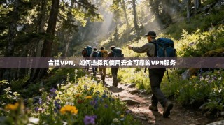 合租VPN，如何选择和使用安全可靠的VPN服务