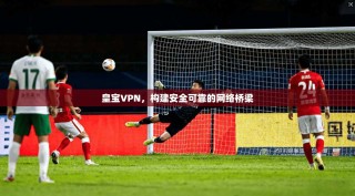 皇宝VPN，构建安全可靠的网络桥梁