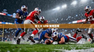 合工大 VPN 使用指南