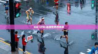GW VPN:连接世界的桥梁