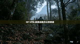 HP VPN:连接远程办公的桥梁
