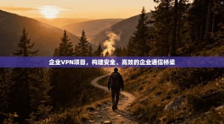 企业VPN项目，构建安全、高效的企业通信桥梁