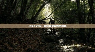 小米8 VPN，解锁全球网络的神器
