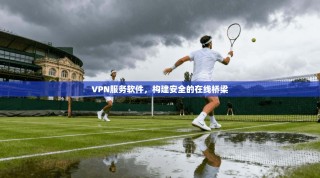 VPN服务软件，构建安全的在线桥梁
