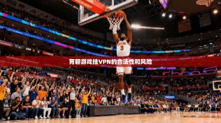 育碧游戏挂VPN的合法性和风险