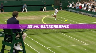 绿喵VPN，安全可靠的网络解决方案