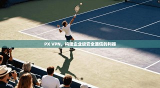 PX VPN，构建企业级安全通信的利器