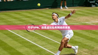 竹子VPN，探索虚拟私有网络的未来