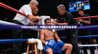 行云VPN后台，构建企业级网络安全的坚实后盾