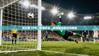向日葵 VPN，打造安全、稳定的远程访问体验