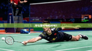 什么是VPN和APN？
