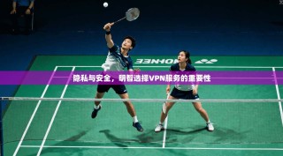 隐私与安全，明智选择VPN服务的重要性